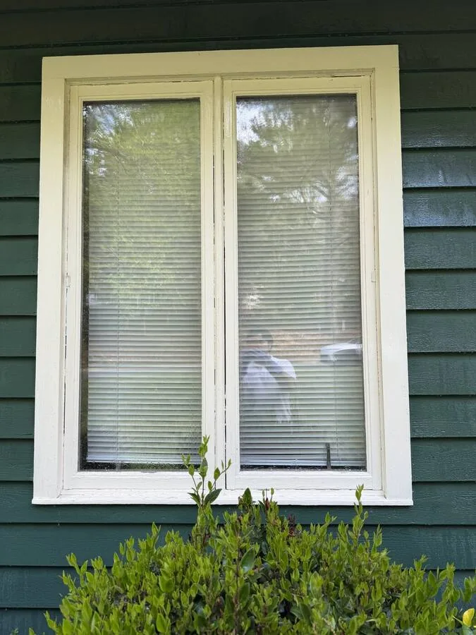 Window after cleaning